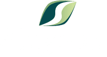 Singular Limited